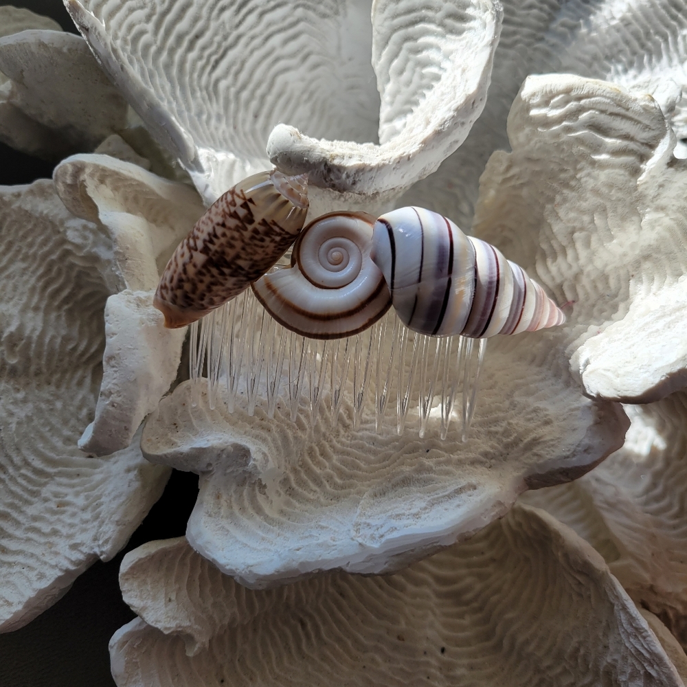 Authentic Seashell Hair Accessory - Picture 3 of 10